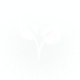 Ecological approach